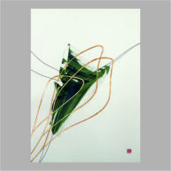 SEQUENZ II.7